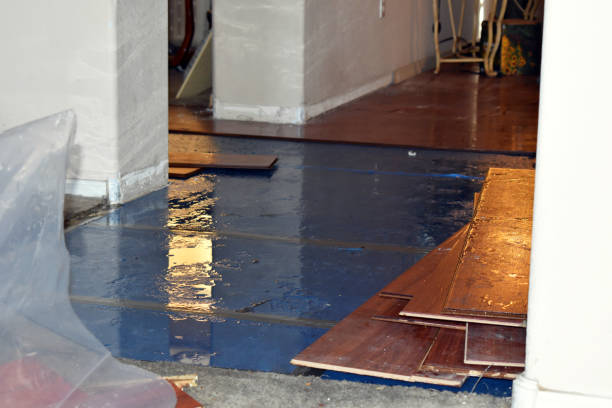 Professional Sewage Cleanup technician working in Trevor, WI